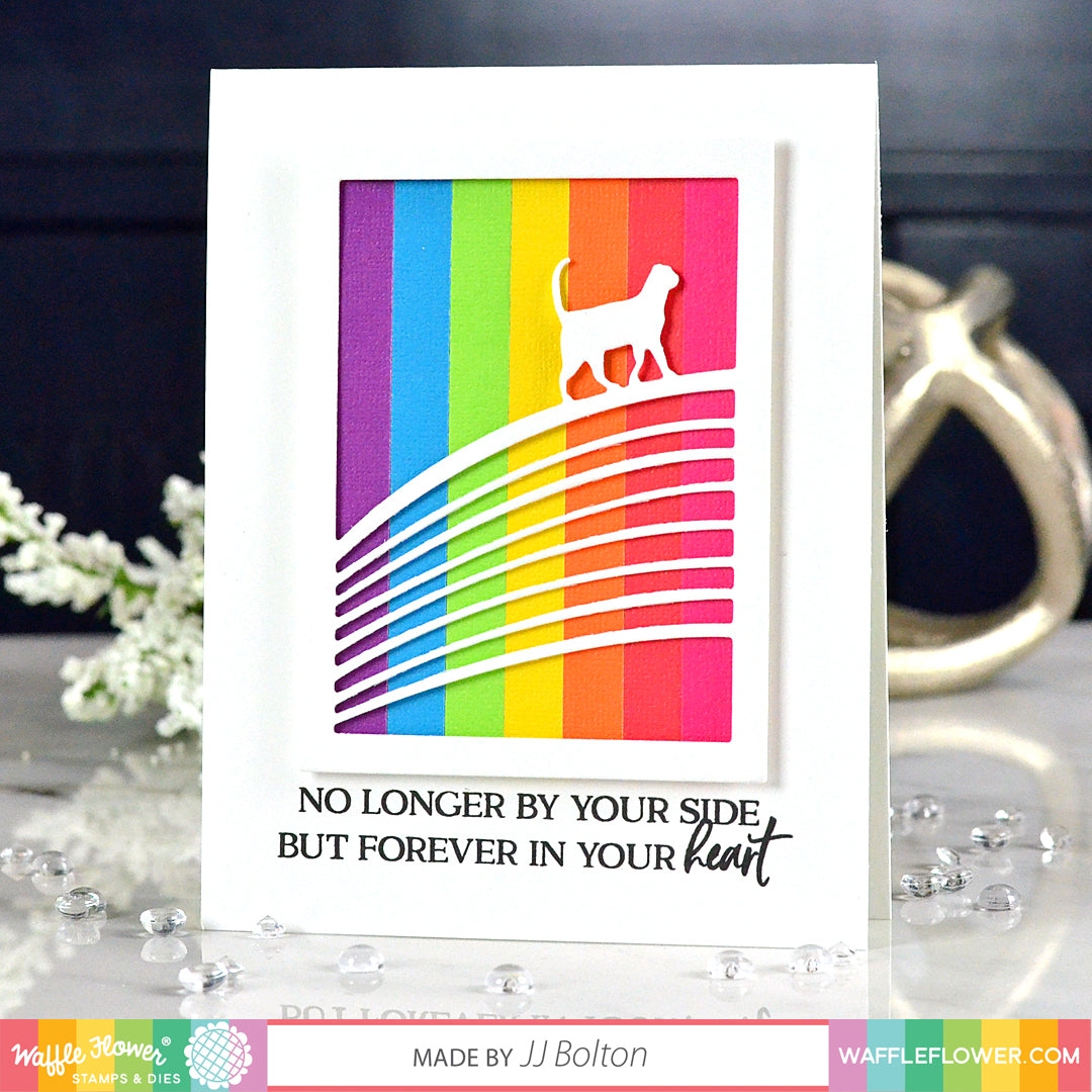 Rainbow Bridge Cat Die