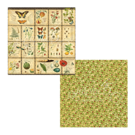 Nature Sketchbook Diary of a Botanist