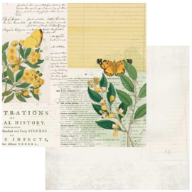 Curators Botanical Natural History