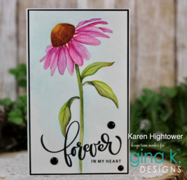 Colossal Coneflower Stamps