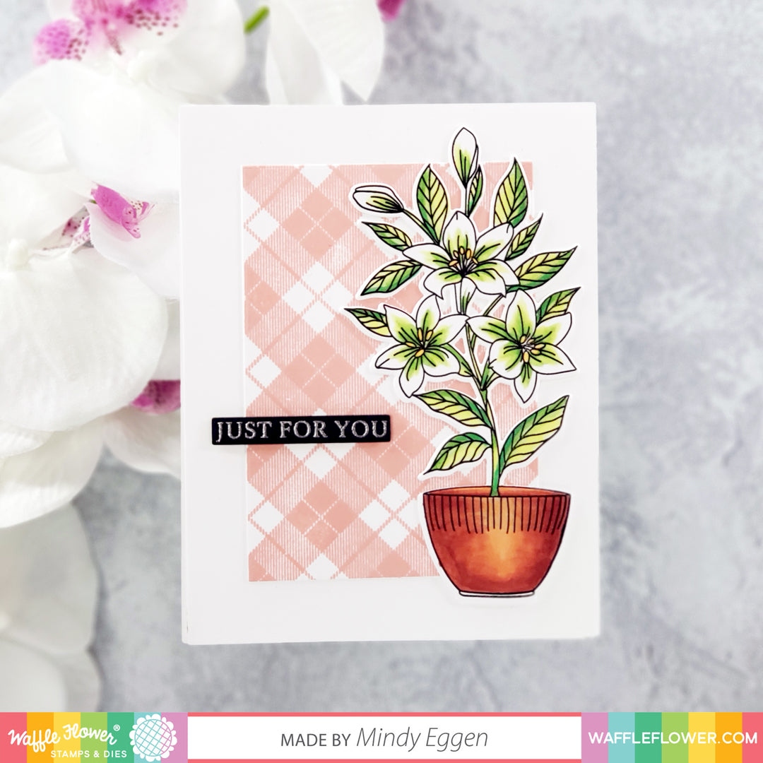 Simply Plaids Stamp Set