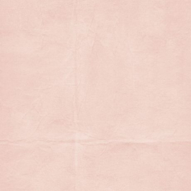 The Looking Glass Solids Collection Pack 12"X12"