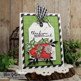 Fun Fruit Stamps
