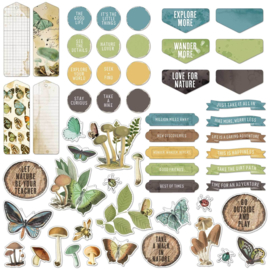 Vintage Artistry Nature Study Chipboard Set