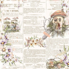 The Looking Glass Collection Pack 12"X12"