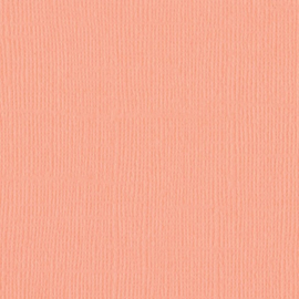 Mono Canvas Coral cream