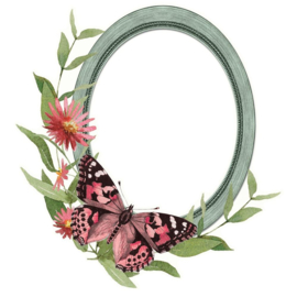 Meadow Flowers Chipboard Frames