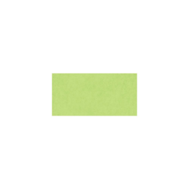 Smooth Cardstock Key Lime