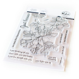 Just Because Clear Stamp Set