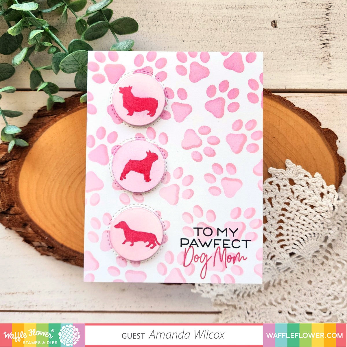 Pawfect Sentiments Stamp Set