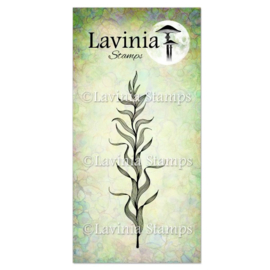 LAV625 Marine Kelp Stamp