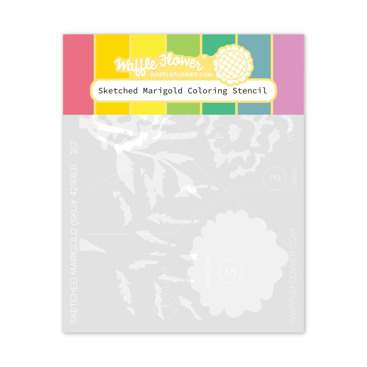 Sketched Marigold Coloring Stencil