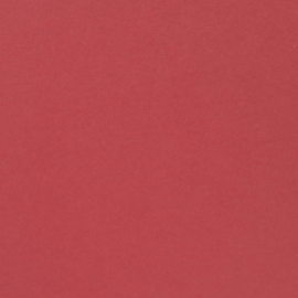 Raspberry smoot 12x12"