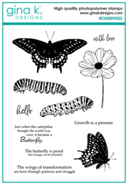 Metamorphosis Bundle