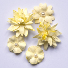 Flower Mini Series 01 Cream