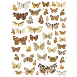 Essential Butterflies 01 Rub-Ons 6"X8"