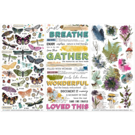 Curiosities In Willow Grove Rub-On Transfer Set Essential