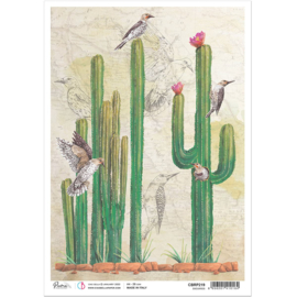 Sonora Saguaros Rice Paper A4