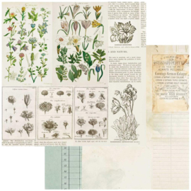 Curators Botanical Anthology