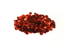 Sequins Ruby Slippers