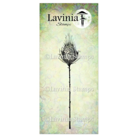 LAV544 Star Burst Stamp