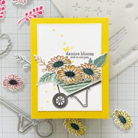 Daisies Bloom Stamps