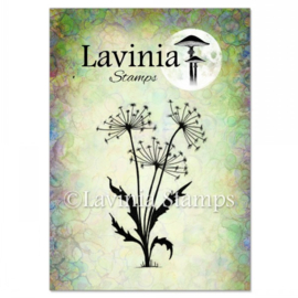LAV220 Dandelions 2 Stamp