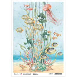 Underwater Love Caribbean Sea Rice Paper A4