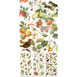 Vintage Orchard Botanical Rub-On Transfer Set