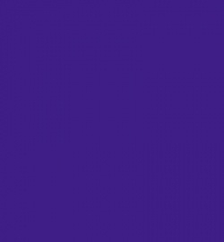 500 Grape Jelly