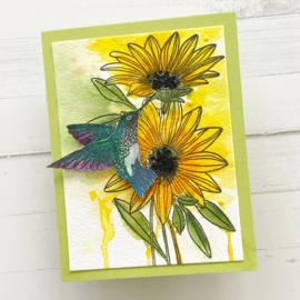 Delightful Daisies Stamps