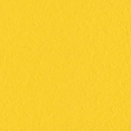 Mono Canvas Classic Yellow