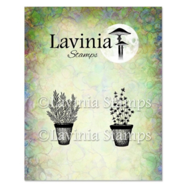 LAV948 Rosemary & Thyme Pots Stamp