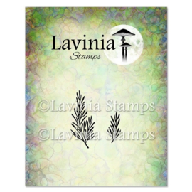 LAV947 Rosemary Stamp