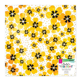 Bold And Bright Specialty Paper 12"X12" Acetate