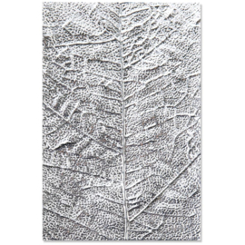 3D Textured Impressions Embossing Folder Leaf Veins