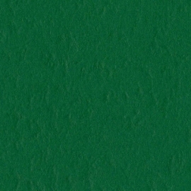 Mono Canvas Classic green
