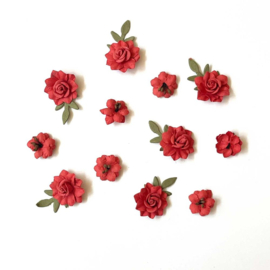 Florets Paper Flowers Salsa