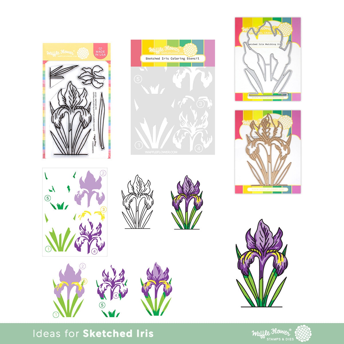 Sketched Iris Stamp Set