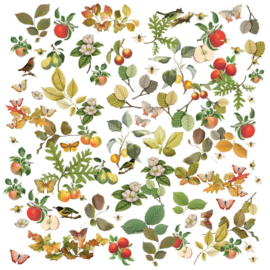 Vintage Orchard Wildflower Laser Cut Outs