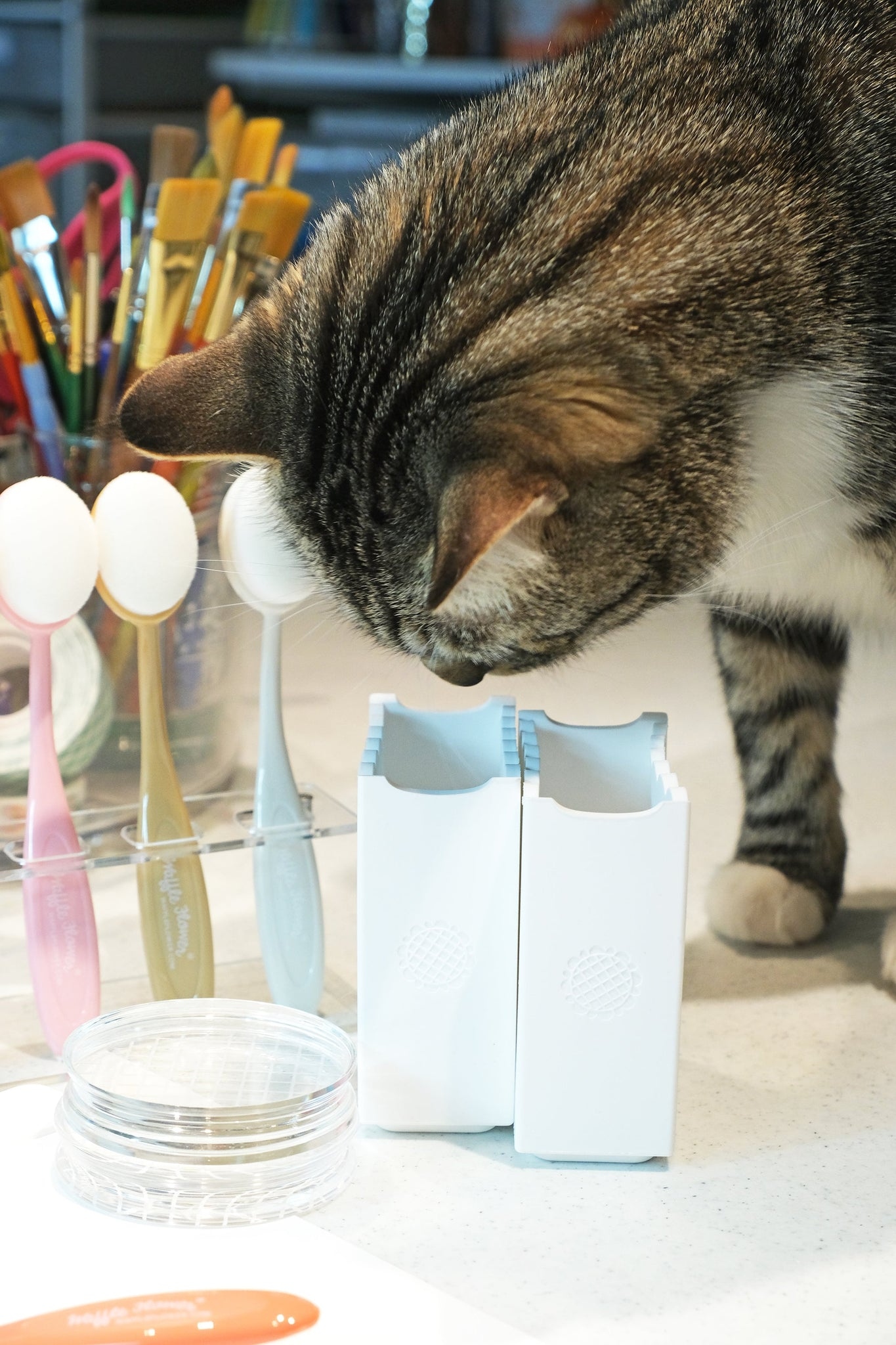 Brush Holder Duo