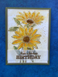 Big Birthday Stamps