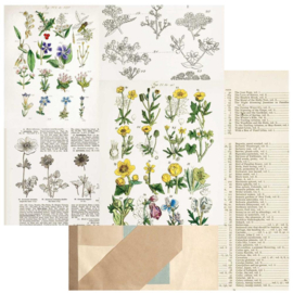 Curators Botanical Pressed Petals