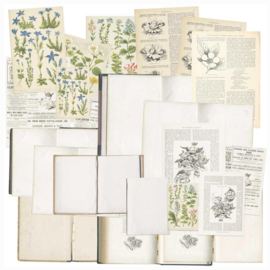 Curators Essential Bookplates