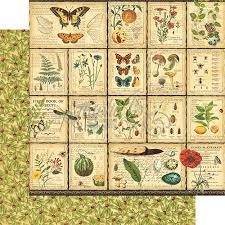 Nature Sketchbook Diary of a Botanist