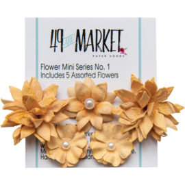 Flower Mini Series 01 Ginger