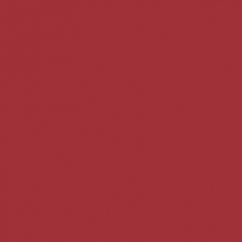 Mono Canvas Blush red dark