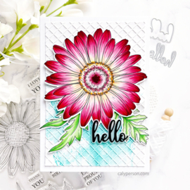 Divine Daisy Stamps