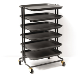 Project Cart With 6 Removable Trays