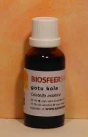 Gotu kola teinture mère 30 ml